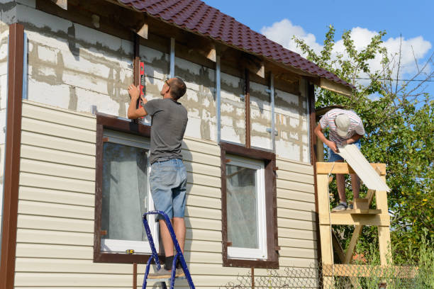 Best Insulated Siding Installation  in Ridgeville, SC