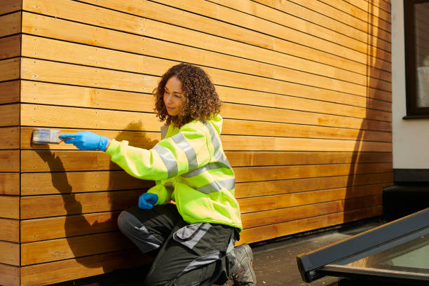 Best Siding Painting and Refinishing  in Ridgeville, SC
