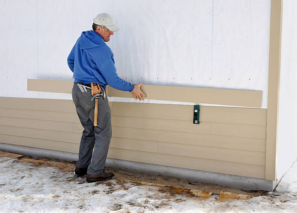 Best Vinyl Siding Installation  in Ridgeville, SC
